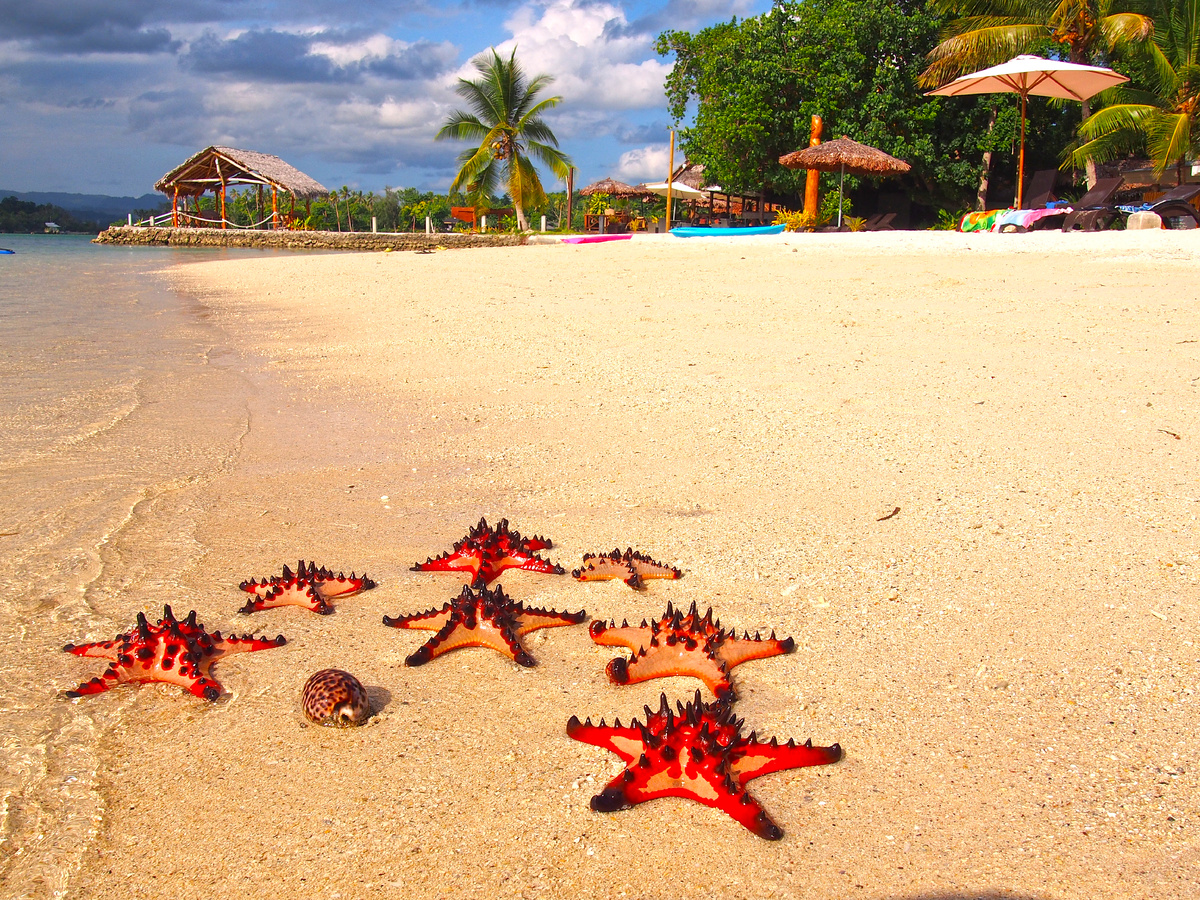 Из личного архива Эвелины Тимофеевой