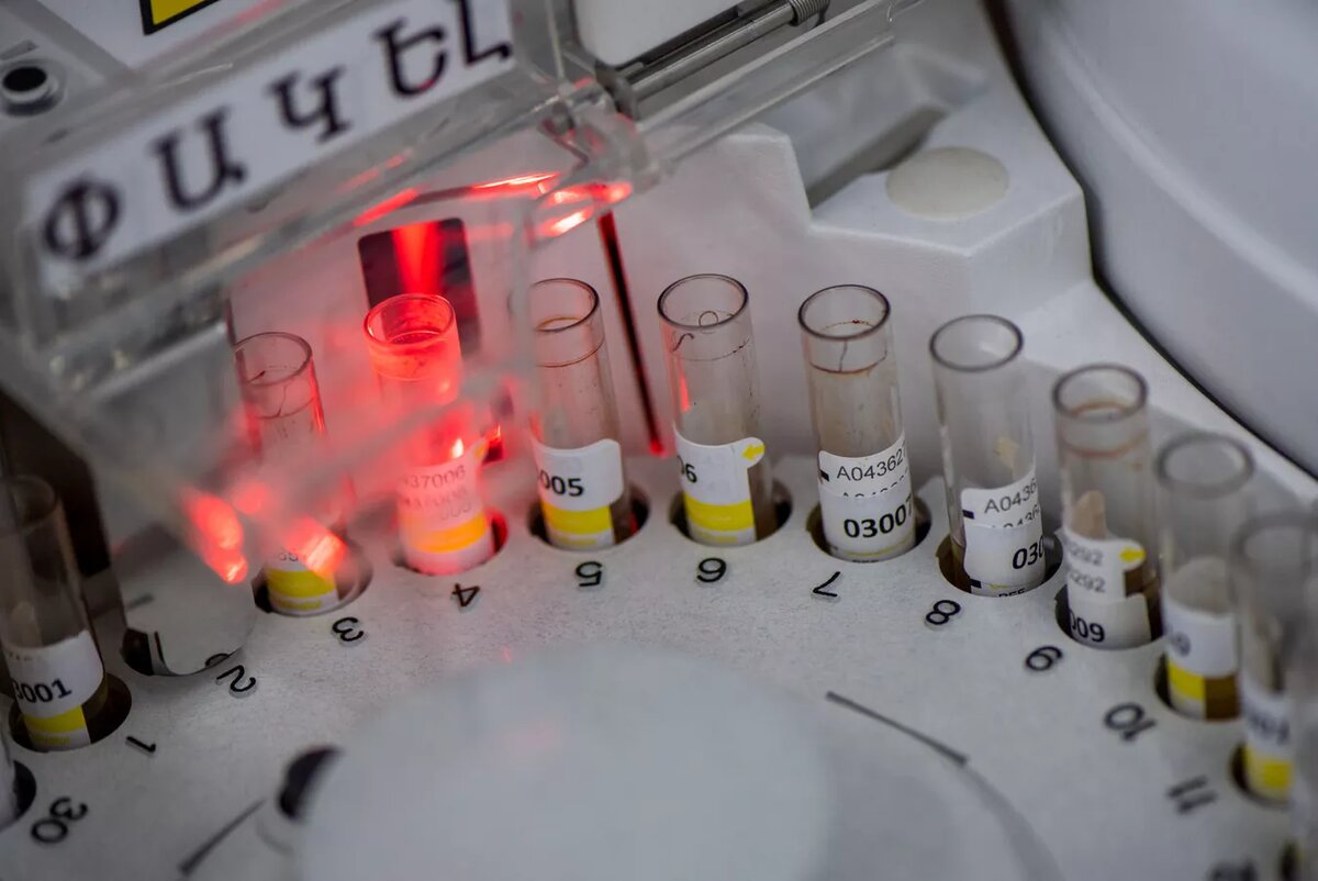 © Sputnik / Aram Nersesyan