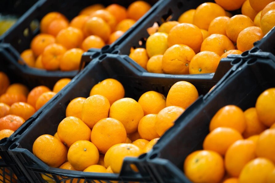    Ruslan Yarocky/URA.RU/Globallookpress