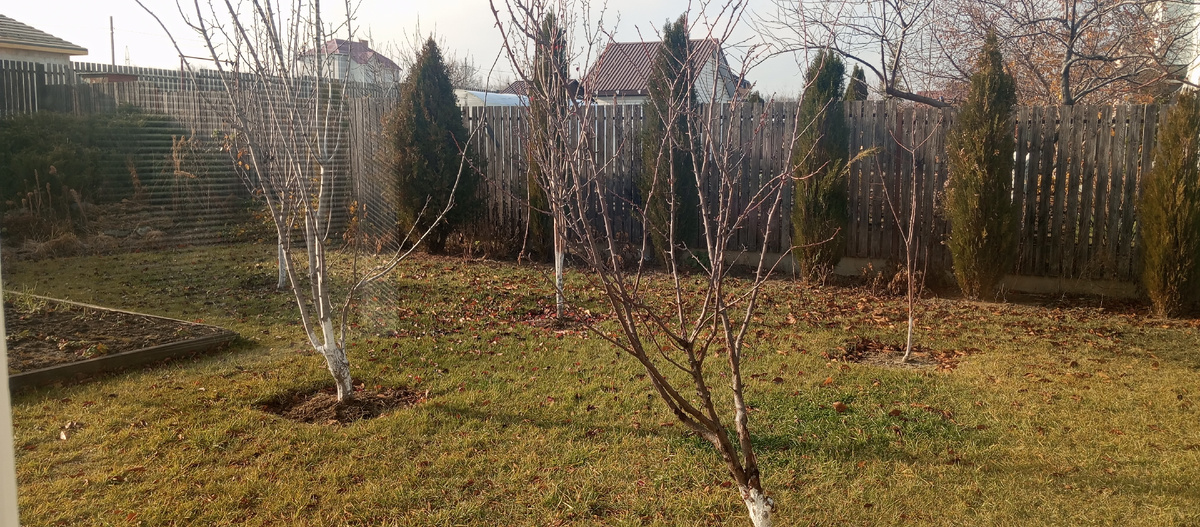 Зима в Камышине