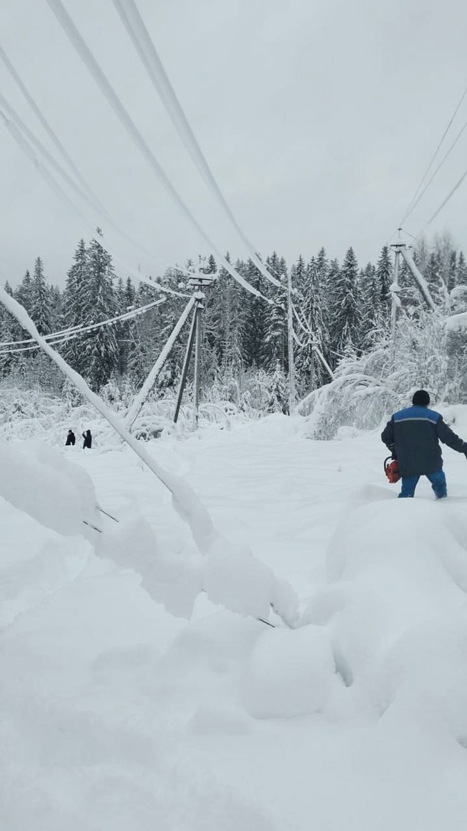    Фото: со страницы Артура Парфенчикова