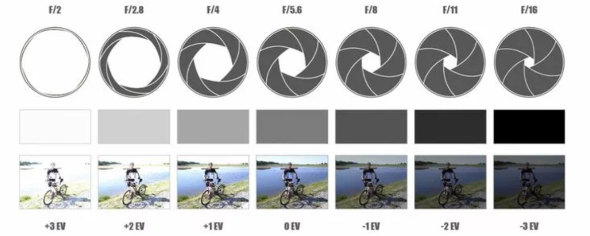 Принцип работы диафрагмы