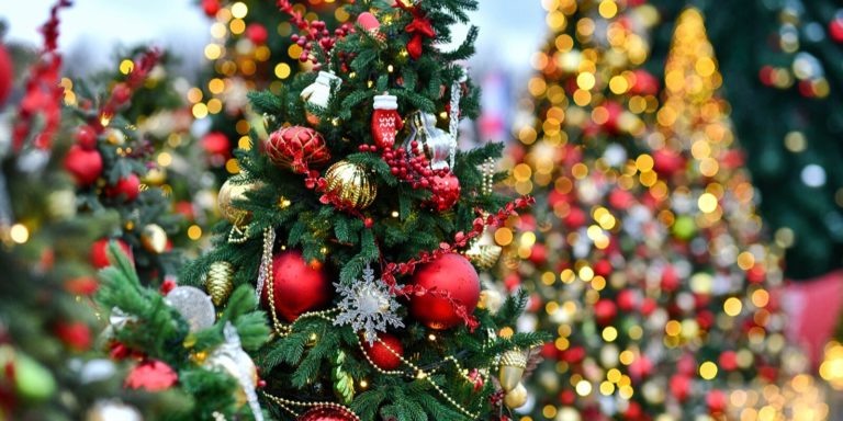    Фото: mos.ru Анна Полякова