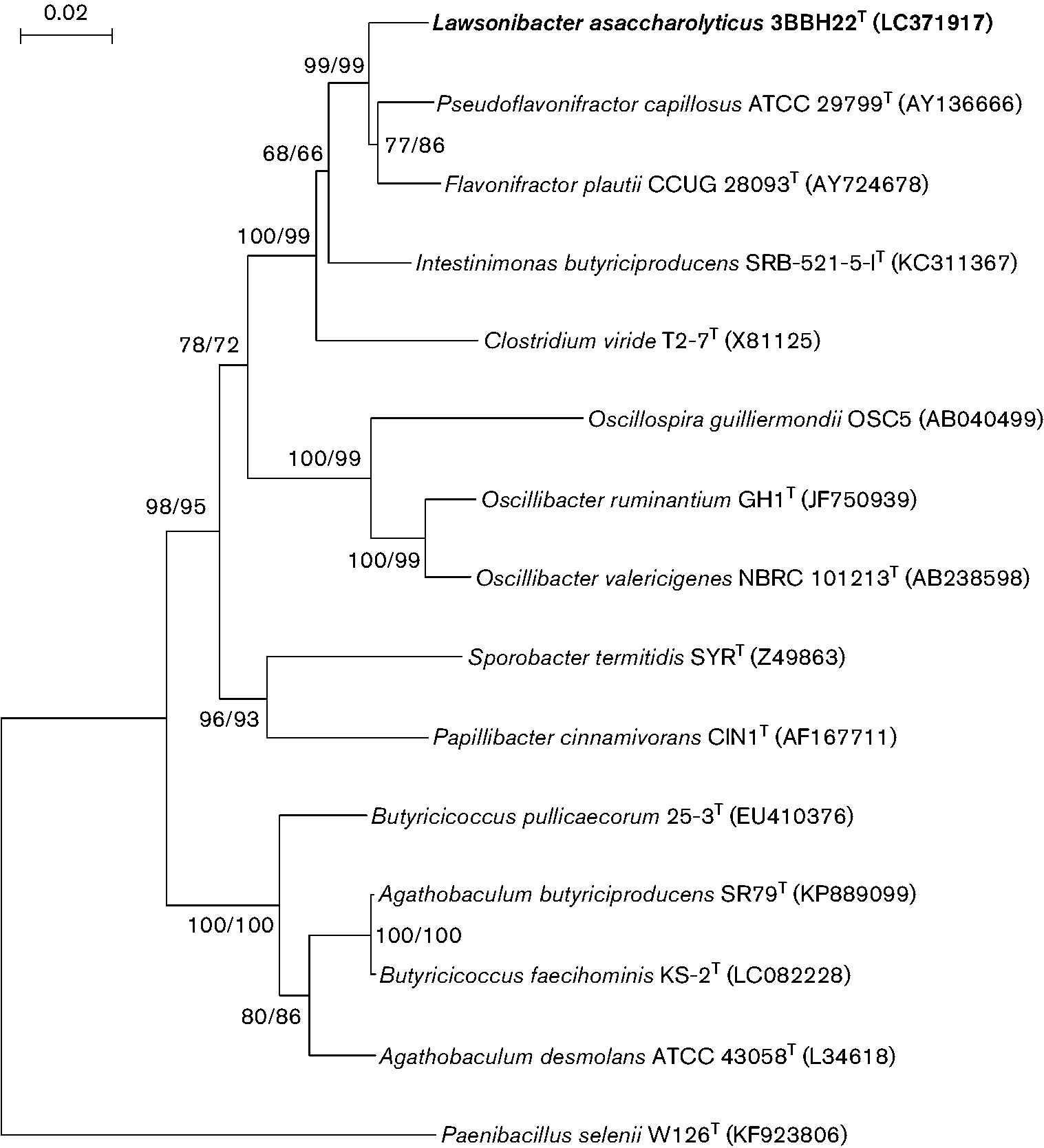 РИС 1. Филогенетическое дерево на основе последовательностей гена 16S рРНК, показывающее связь между штаммом 3BBH22 T и некоторыми родственными таксонами. 
