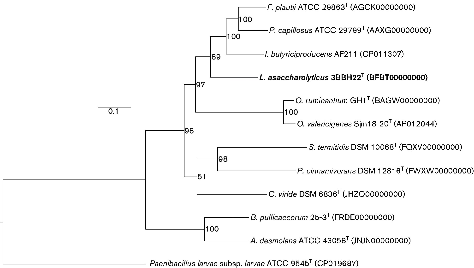 Рис. 2.
Филогенетическое дерево штамма 3BBH22 T и родственных таксонов. Филогенетическое дерево было выведено с использованием UBCG (конкатенированное выравнивание 89 белков).