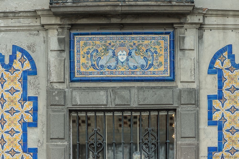 Фото взято из открытого источника