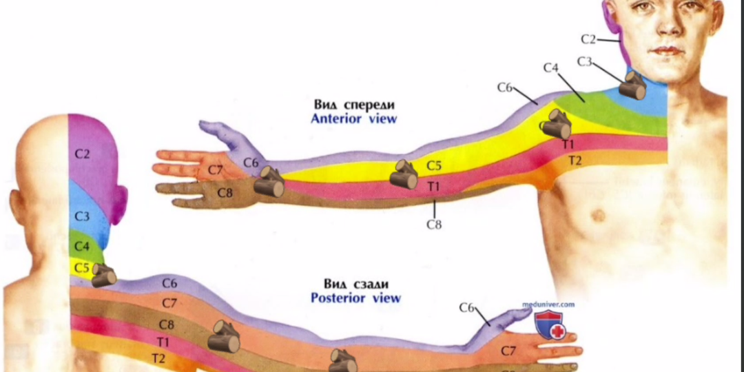 Почему немеют конечности?