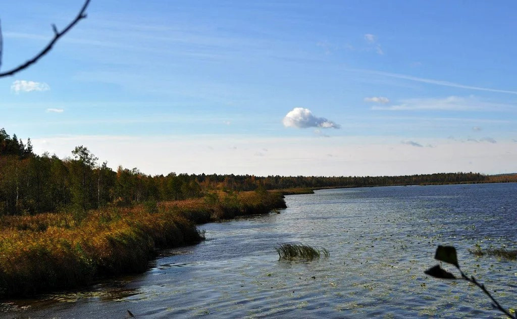 Березинский биосферный заповедник