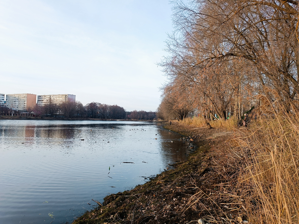 Верхний пруд. Один из трëх прудов среди городских застроек. 