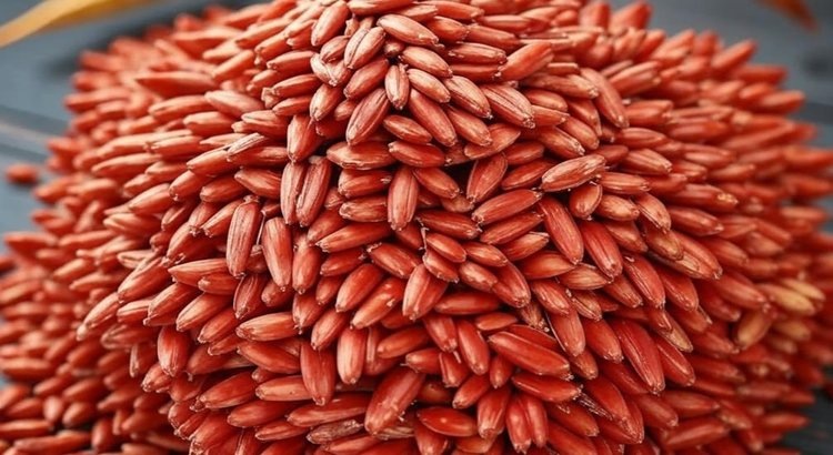    Когда эффективность у протравливания семян достигает пика: что говорят эксперты