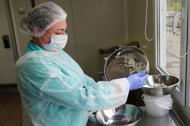   Фото: mcx.gov39.ru