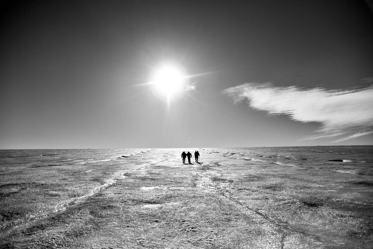 Идем за солнцем. Фото: Полина Зиновьева