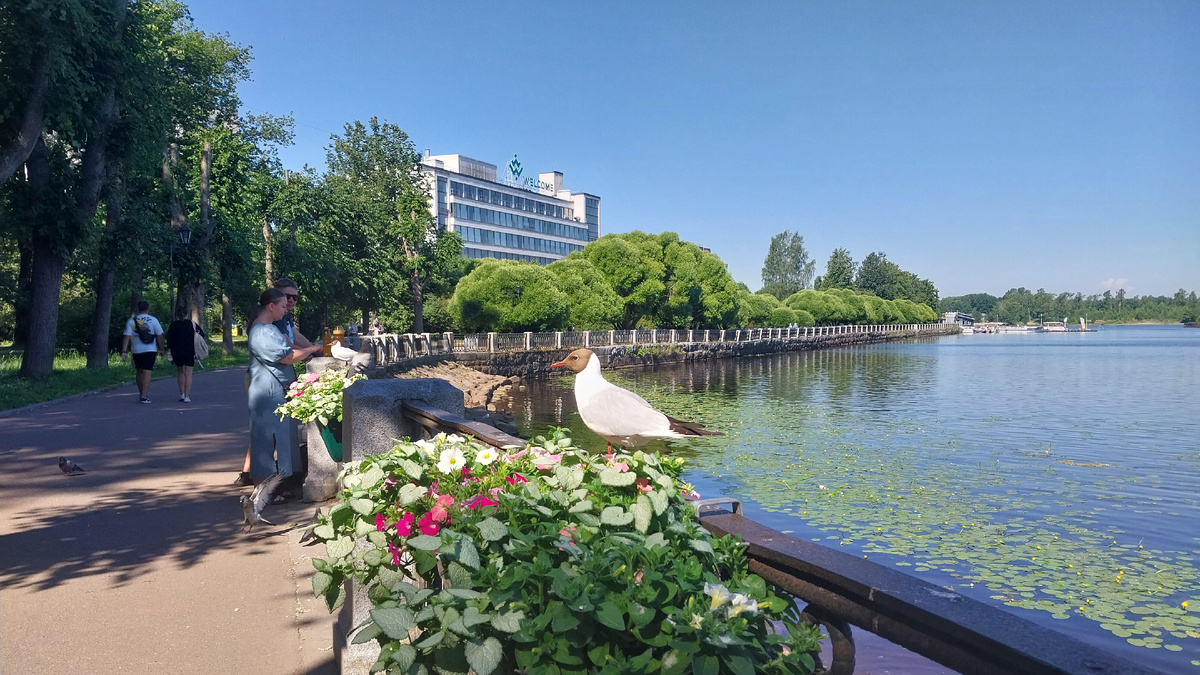 Набережная Большого ковша