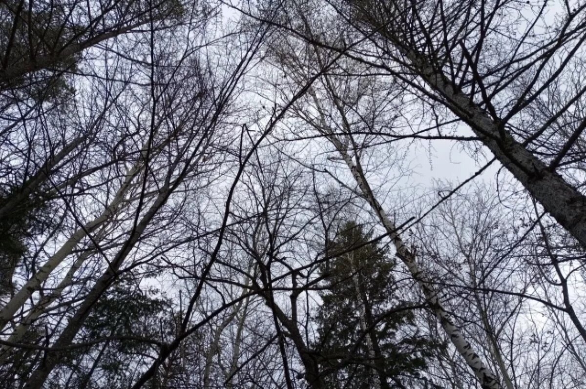    Житель Пермского края скончался в лесу до прибытия медиков и спасателей