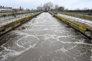    Фото: администрация г.о. Серпухов