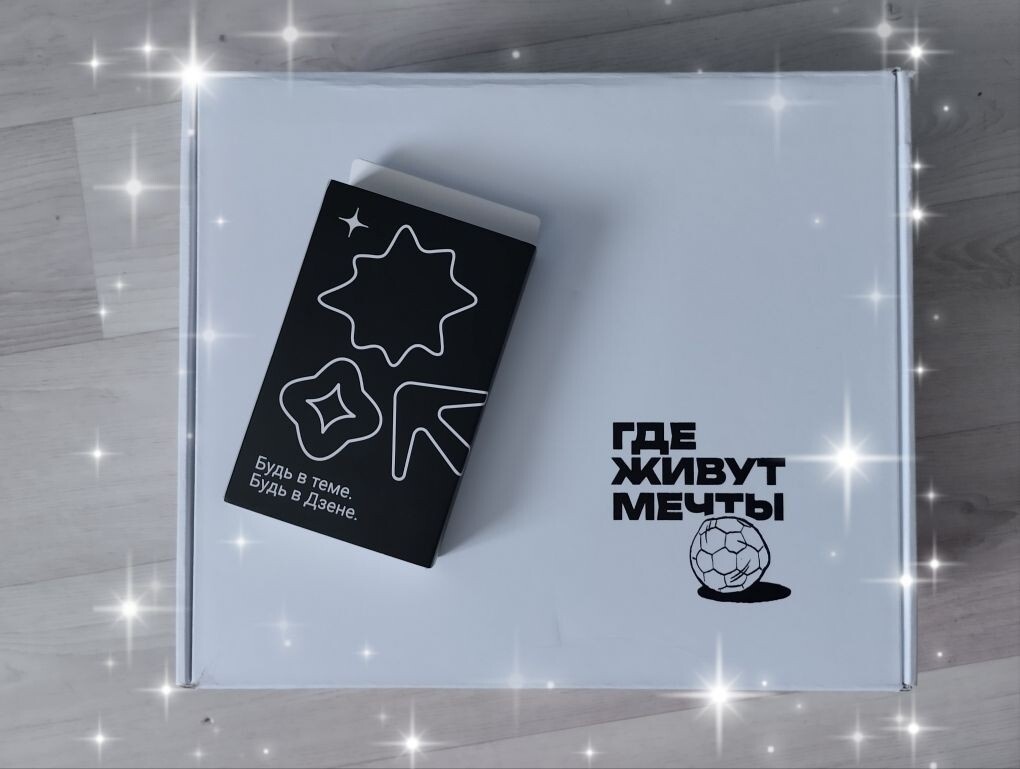 Маленькая чёрная коробочка - это пауэр банк!