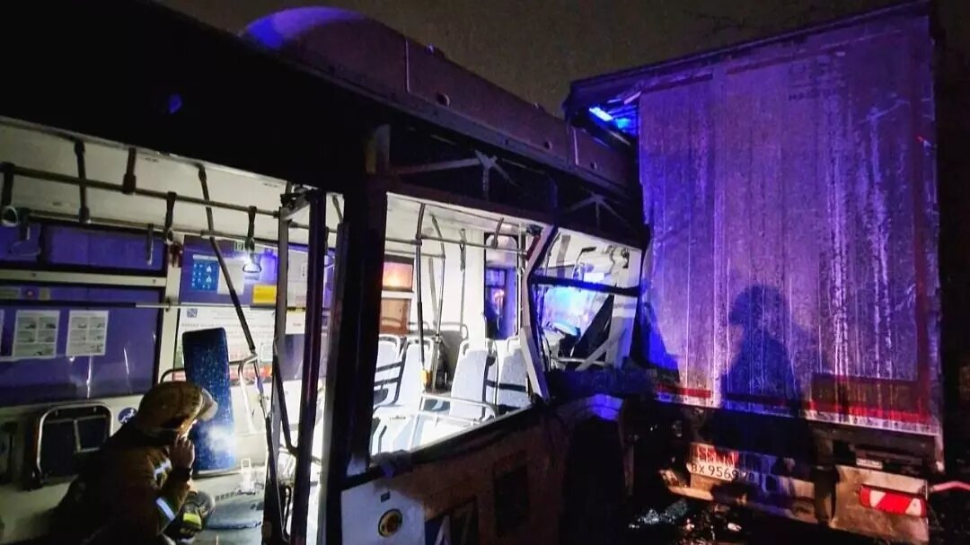     Источник: МЧС Ленинградской области / vk