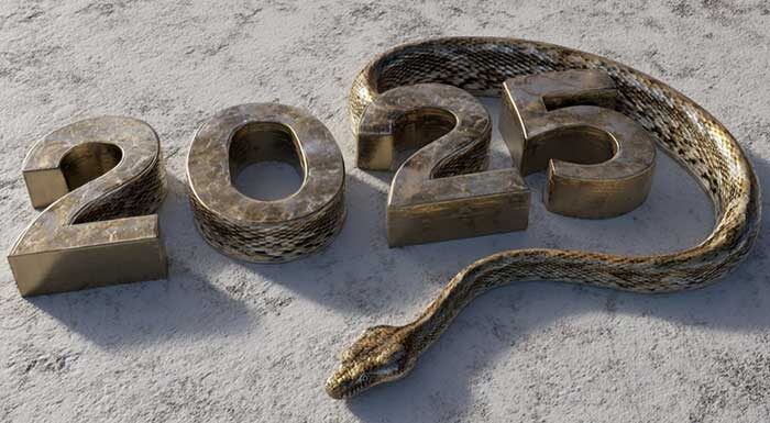 год Деревянной Змеи