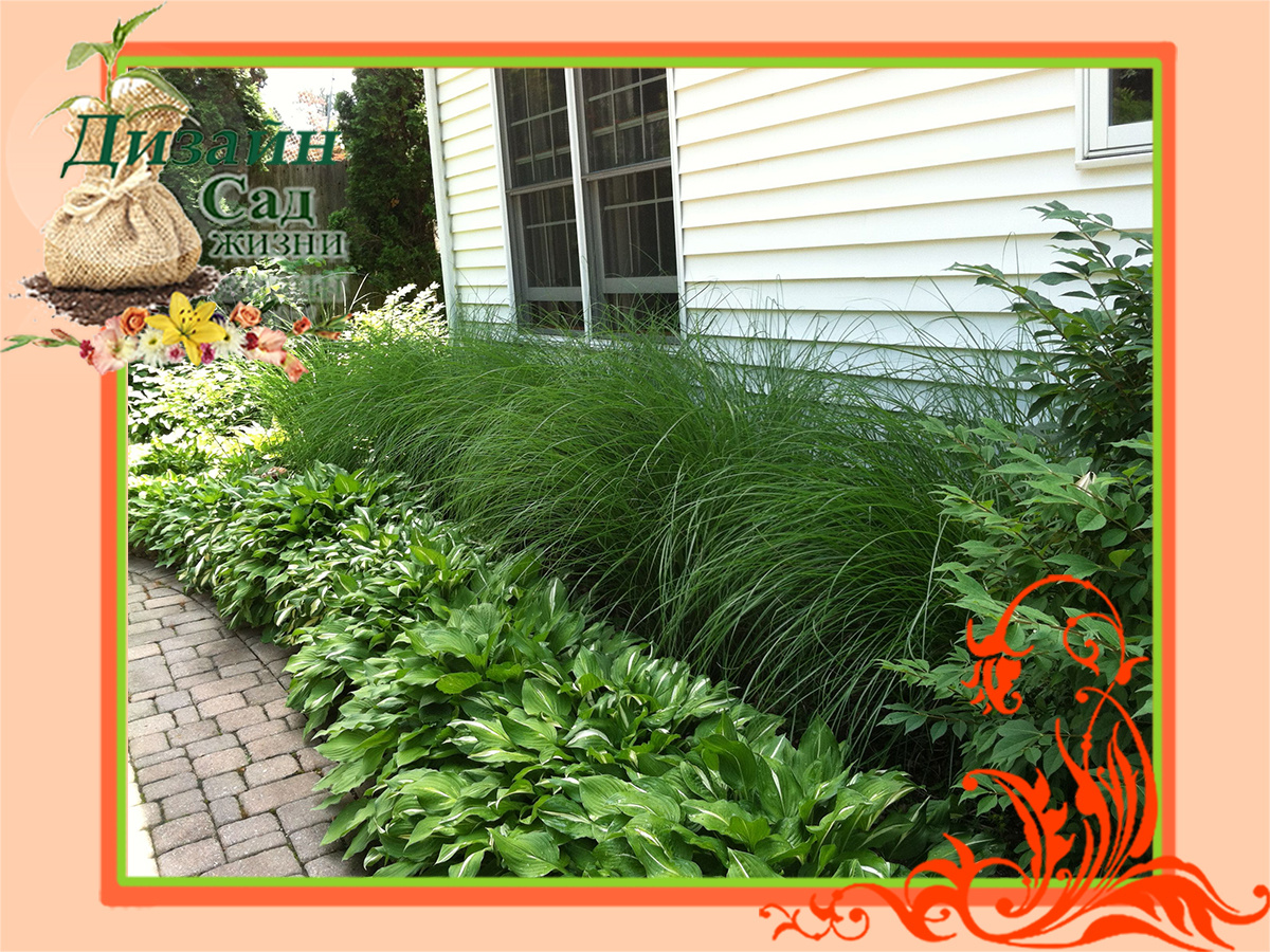 Бордюр в тени