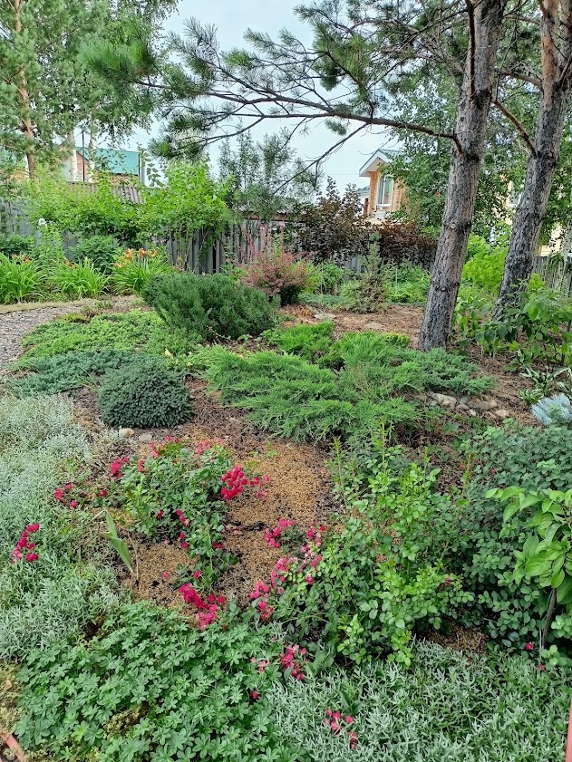 гордость и любовь - хвойная горка