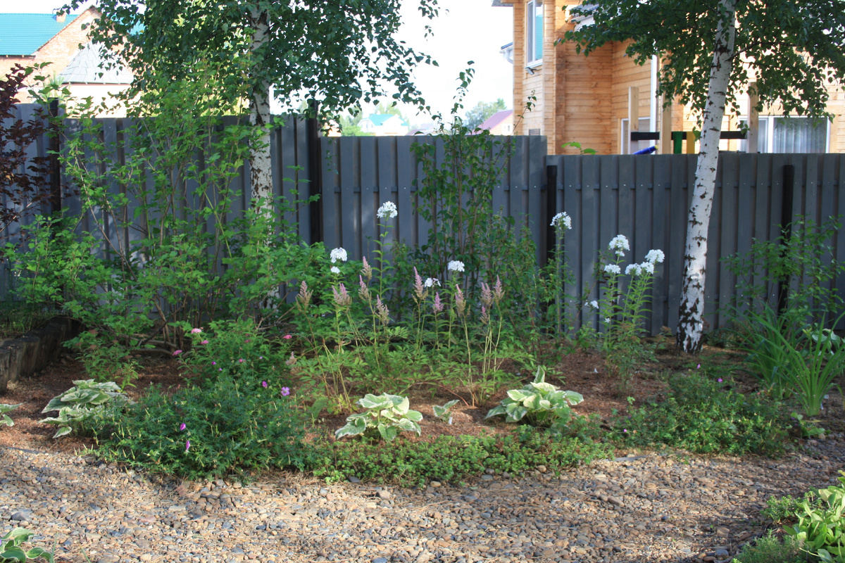 Асимметричный цветник. Стараюсь уравновесить правую и левую части - слева розовая спирея, справа розовый же седум. Слева и по центру белоокаймленные брунеры. К ним на заднем фоне - цветущие белыми цветами калина, бульданеж, чубушник и флоксы