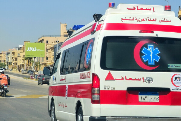 Tamer A Soliman/Shutterstock/FOTODOM