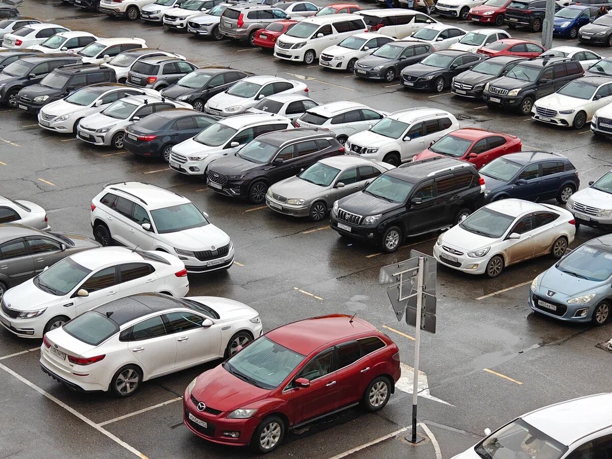    Фото: Юрий Серебренников/BFM Кубань