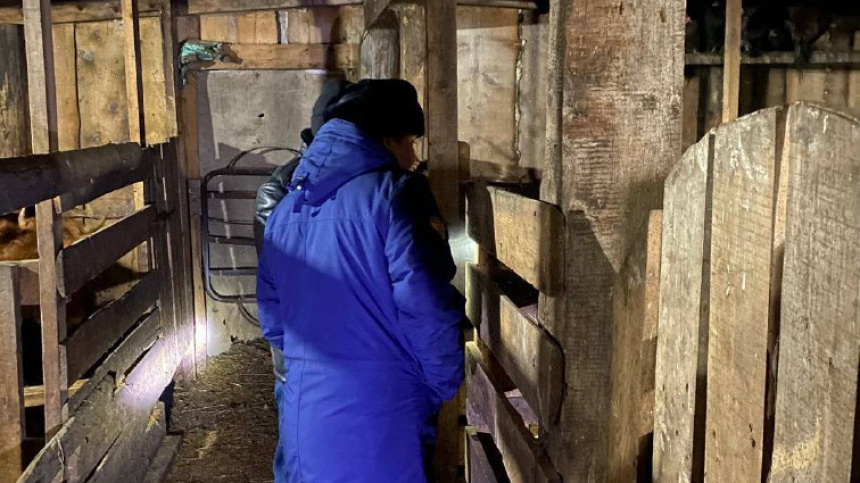    Фото: Прокуратура Красноярского края