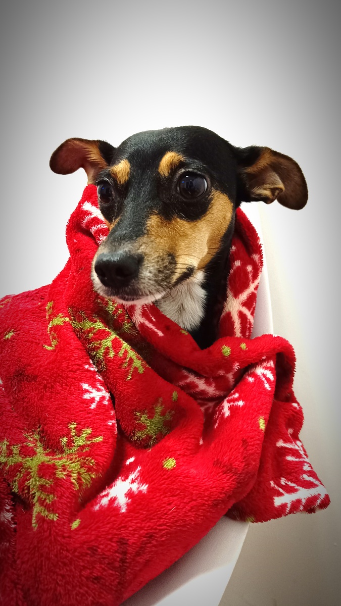 Терпеливо сидим в очереди 