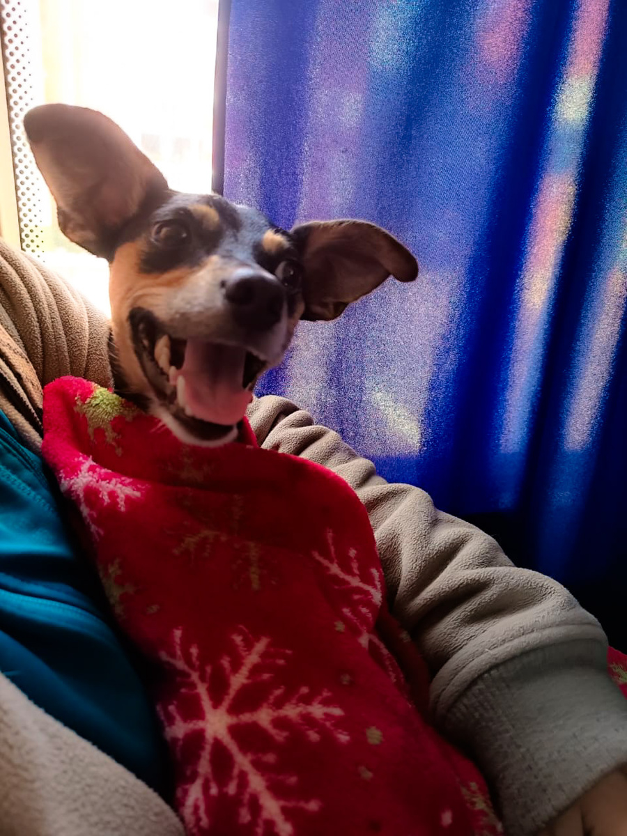 Когда машина в ремонте едем на автобусе 