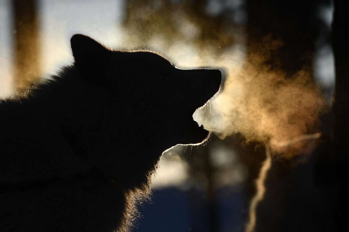 © Sputnik/Александр Кряжев