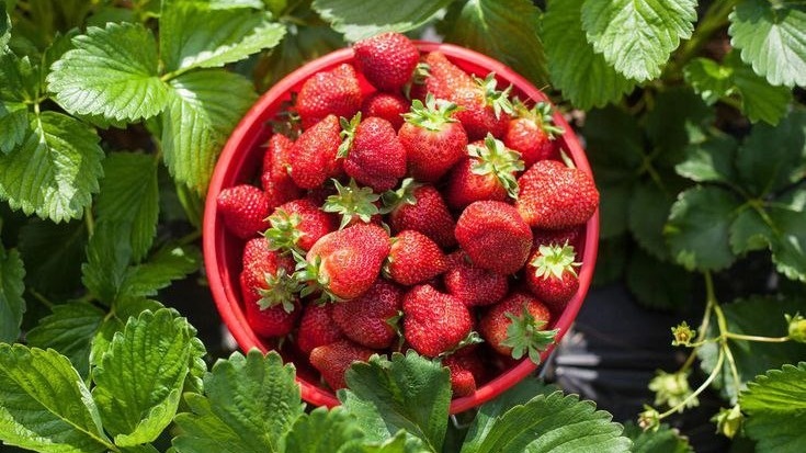 Фото с pinterest.com