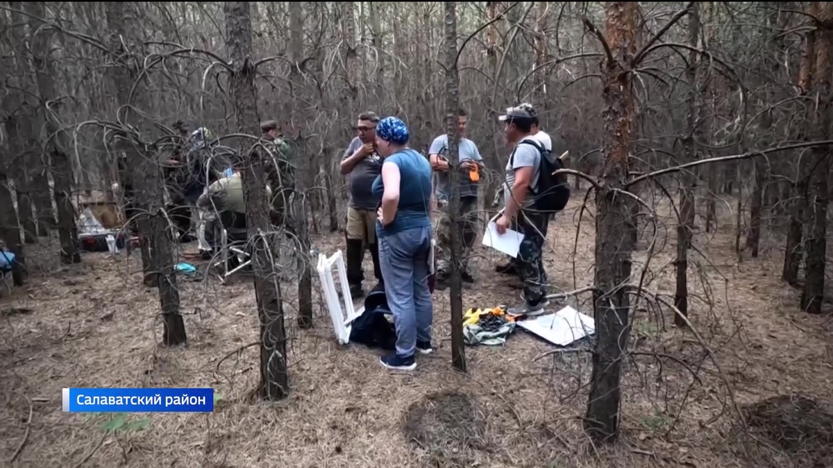    Ученые рассказали, как в Башкирии проводятся исследования на карбоновых полигонах