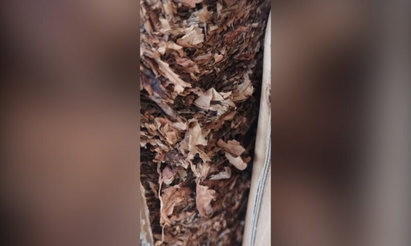    Фото пресс-службы Южного межрегионального управления Россельхознадзора