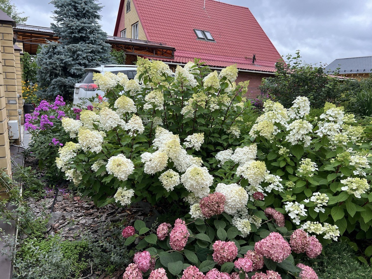 Фото из личного архива