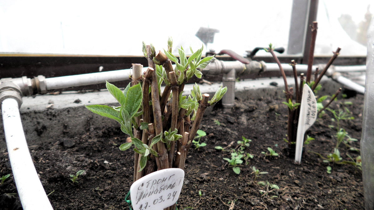 Фото из личного архива