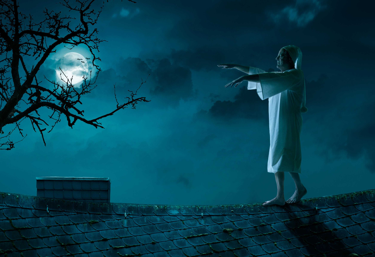 © howtodrawanimals.co