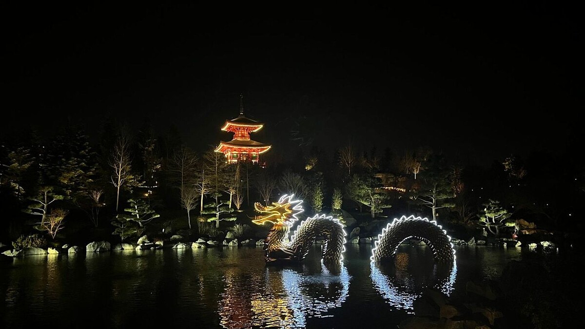    Фото: архив телеканала «Краснодар»