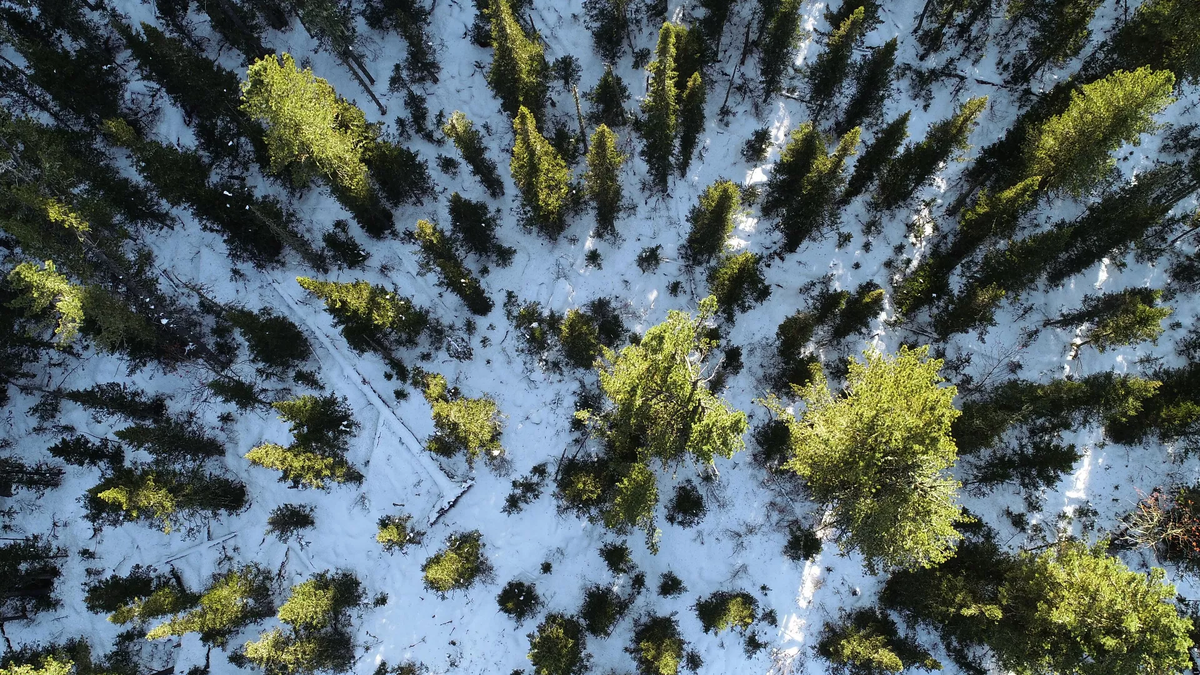 
© photo: Sputnik / Ilya Naimushin