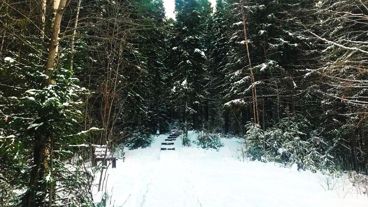    По «Тропе здоровья» к счастливым детским воспоминаниям: семейный бизнес-тандем из Нягани благоустроил берег озера