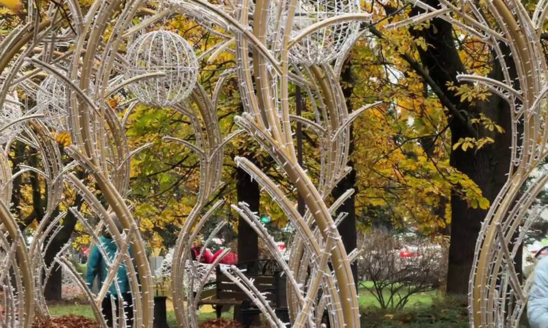    Фото t.me/emnaumov