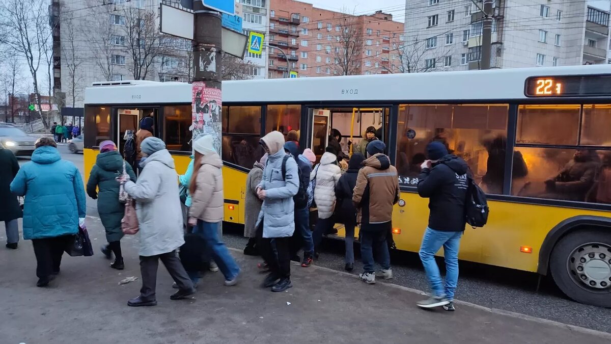     Автор: Сергей Савинов Источник: udm-info.ru