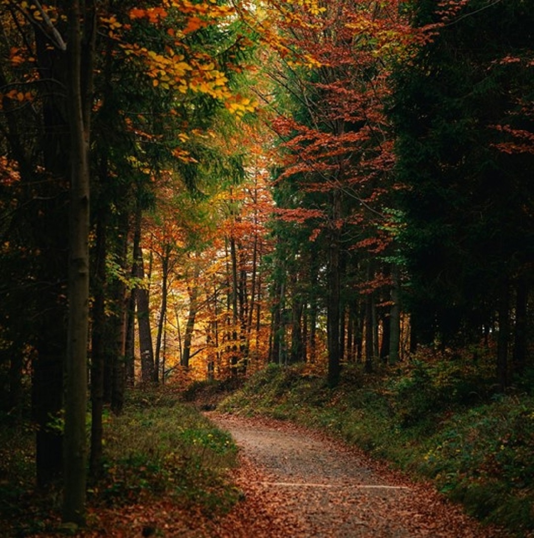 Источник: https://unsplash.com/  