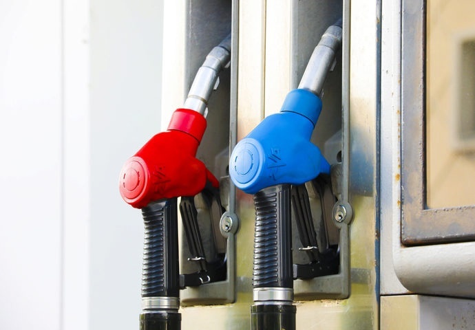    Фото: Пермское УФАС России Полина Анкушина