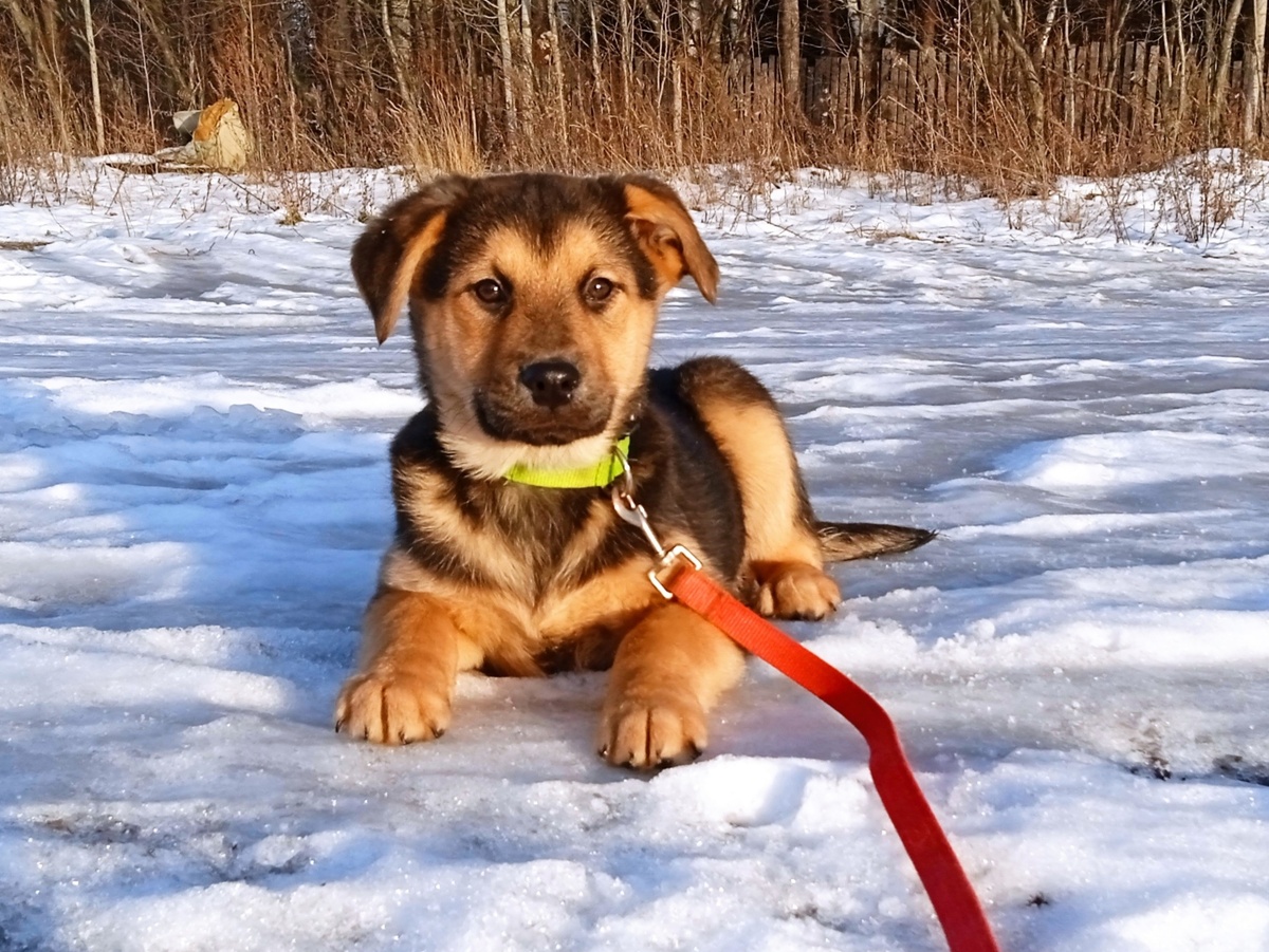 Талантливая малышка. Позирует вон как профессионально