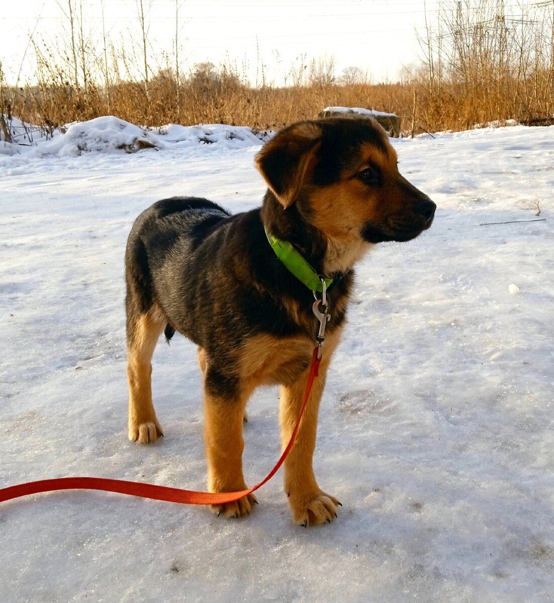 Ау! Люди! Вы где ??? Вас очень ждёт малышка.