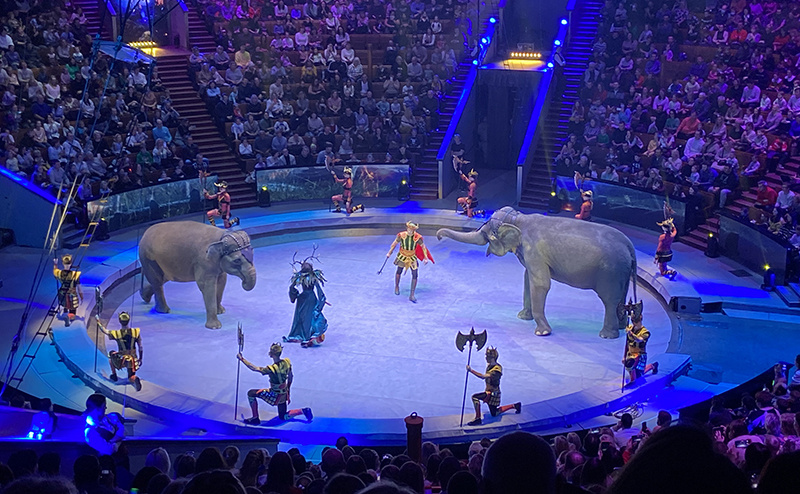 Цирковые представления в Большом Московском цирке