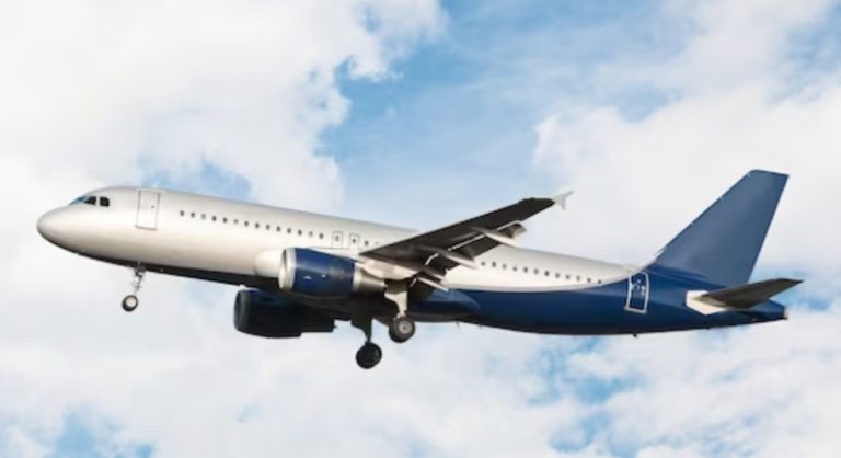    Фото: img.freepik.com Анастасия Давыдова