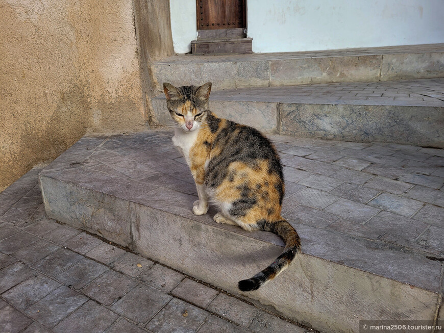 Рабат. Будущая мамочка © marina2506.tourister.ru