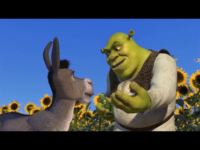 Тактикульщики как великаны... Они многослойны